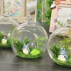 3 Pc Clear Glass Flower Plant Hanging Vase Ball Terrarium Containers